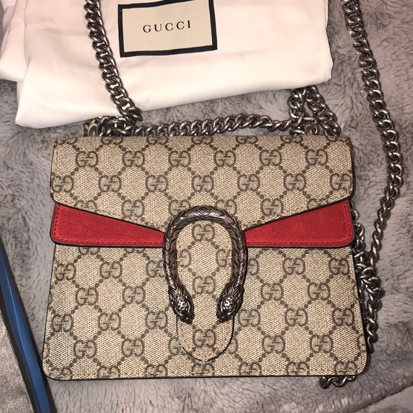 The Gucci Dionysus Mini Leather Bag photo review