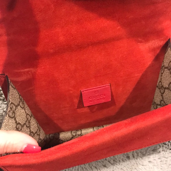 The Gucci Dionysus Mini Leather Bag photo review